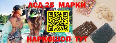 гидропоника Тула