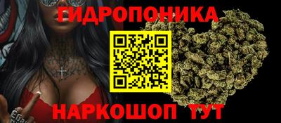 apvp Тулун